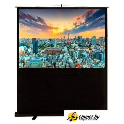 Проекционный экран CACTUS FloorCompactExpert 68x120 CS-PSFLCE-120X68