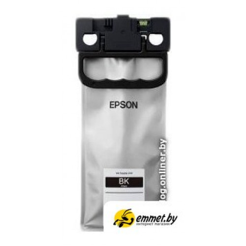 Картридж-чернильница (ПЗК) Epson C13T01C100