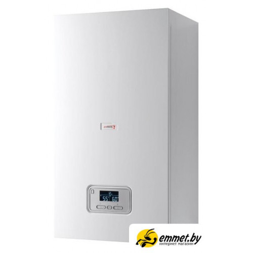 Отопительный котел Protherm Ray (Скат) 14 KE /14 0010023649