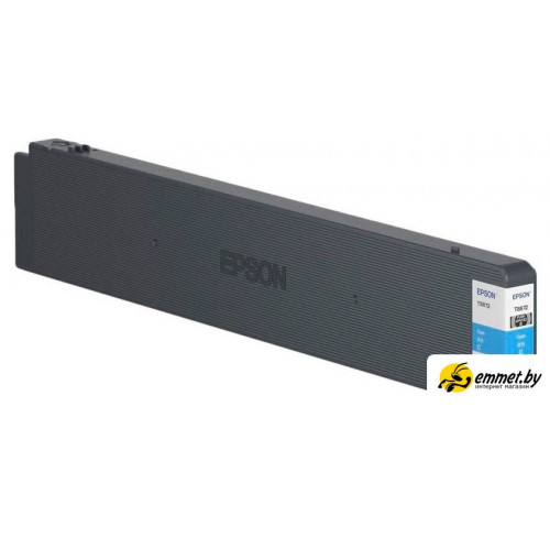 Картридж Epson C13T887200