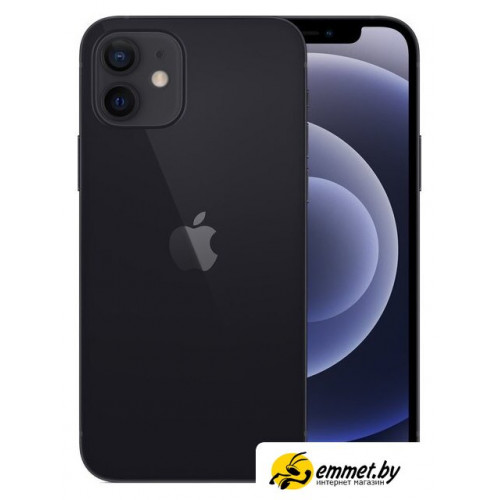 Телефон Apple iPhone 12 64GB (черный)