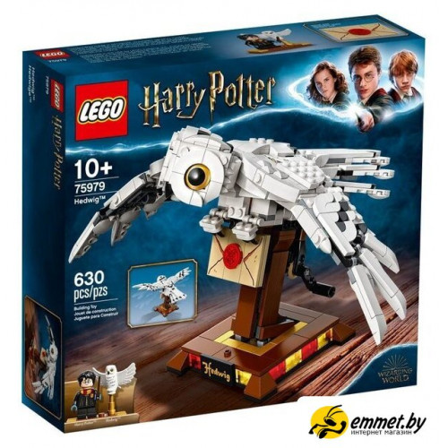 Конструктор LEGO Harry Potter 75979 Букля