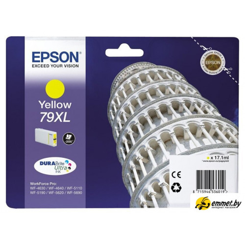 Картридж Epson C13T79044010