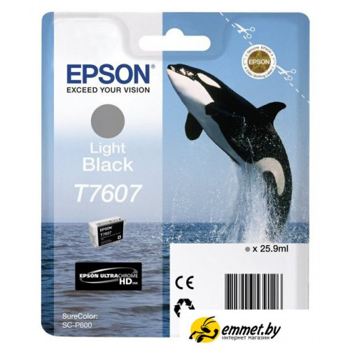 Картридж Epson C13T76074010