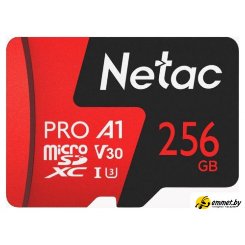 Карта памяти Netac P500 Extreme Pro 256GB NT02P500PRO-256G-S