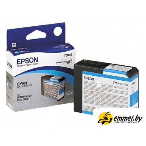 Картридж Epson C13T580200