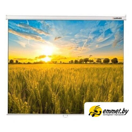 Проекционный экран Lumien Eco Picture 190x300 LEP-100125