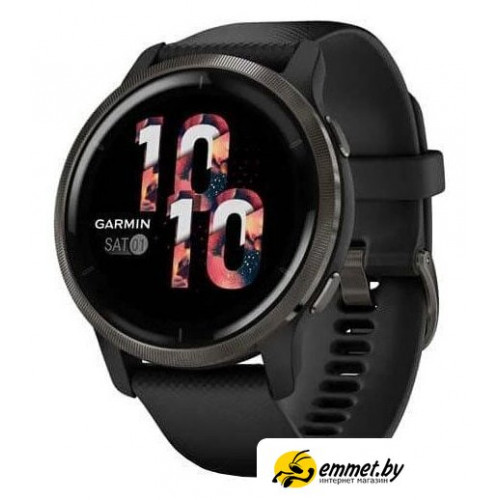 Умные часы Garmin Venu 2 (сланцевая нержавеющая сталь/черный)