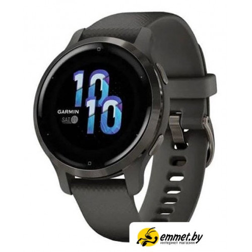 Умные часы Garmin Venu 2S (сланцевая нержавеющая сталь/черный)