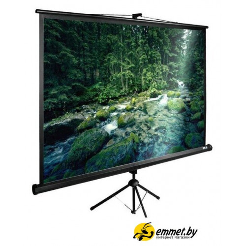 Проекционный экран CACTUS TriExpert 165x220 CS-PSTE-220X165-BK