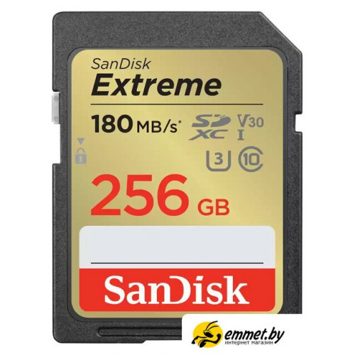 Карта памяти SanDisk Extreme SDXC SDSDXVV-256G-GNCIN 256GB