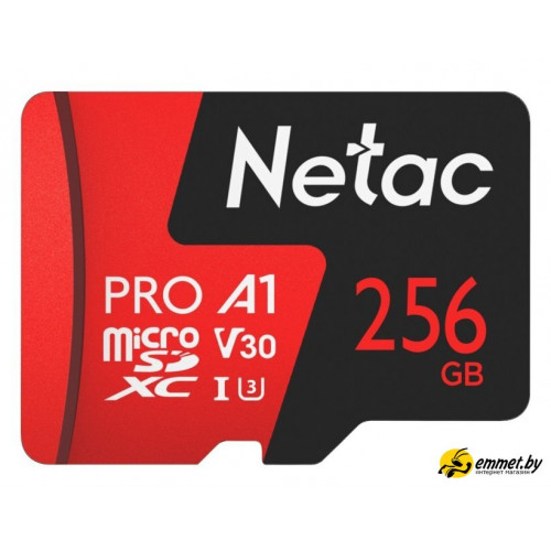 Карта памяти Netac 256GB 500 Extreme Pro NT02P500PRO-256G-R (с адаптером)