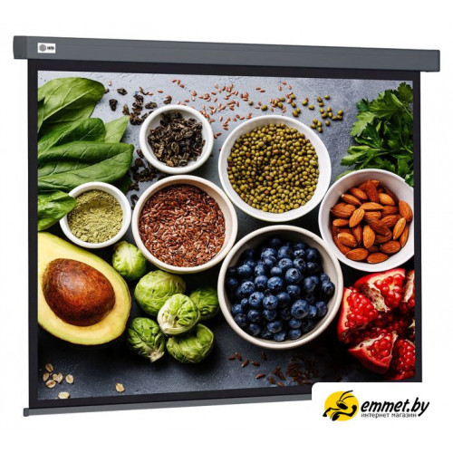 Проекционный экран CACTUS Wallscreen 150x150 CS-PSW-150X150-SG