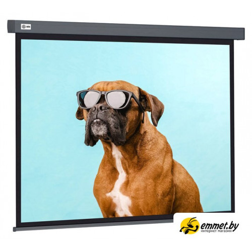 Проекционный экран CACTUS Wallscreen 149x265 CS-PSW-149X265-SG