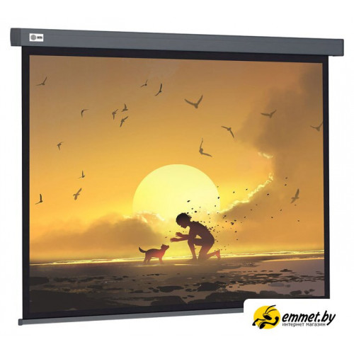 Проекционный экран CACTUS Wallscreen 124x221 CS-PSW-124X221-SG