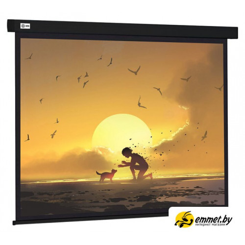 Проекционный экран CACTUS Wallscreen 150x150 CS-PSW-150X150-BK
