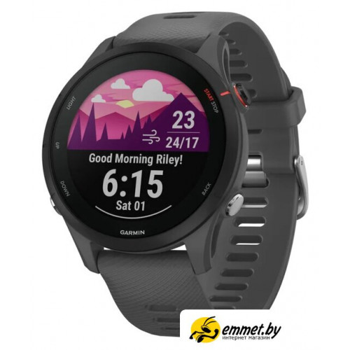 Умные часы Garmin Forerunner 255 (сланцево-серый/черный)