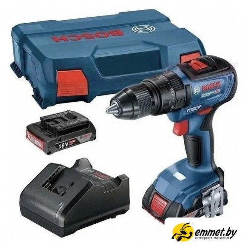 Ударная дрель-шуруповерт Bosch GSB 18V-50 Professional 06019H5120 (с 2-мя АКБ, кейс)