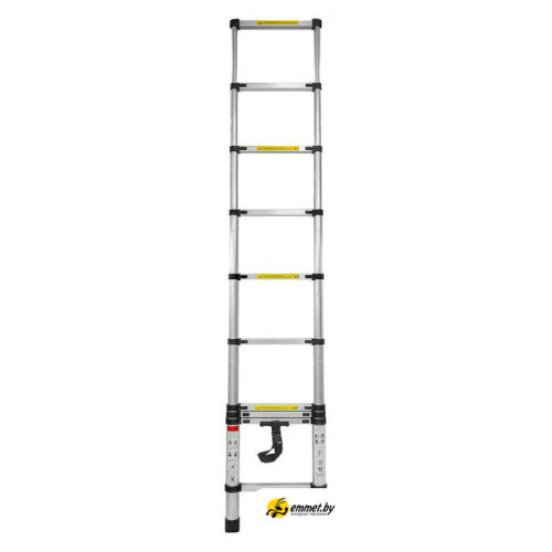 Лестница FORSAGE F-UP290 (10 ступеней)