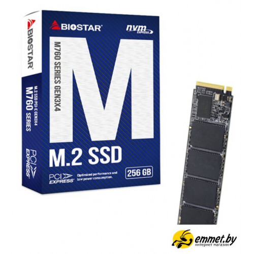 SSD BIOSTAR M760 256GB M760-256GB
