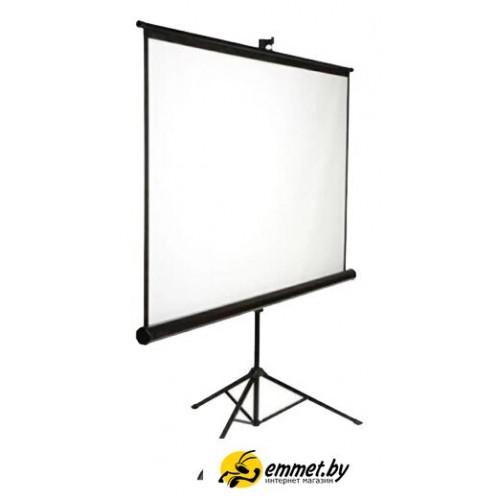Проекционный экран Future Vision Tripod 220x220 T220SMW