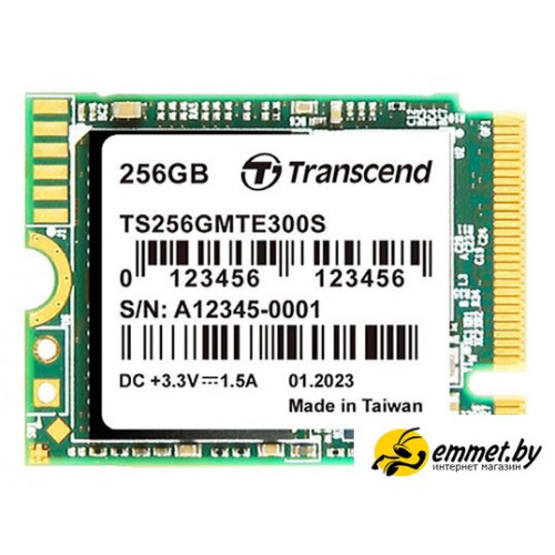 SSD Transcend 300S 256GB TS256GMTE300S