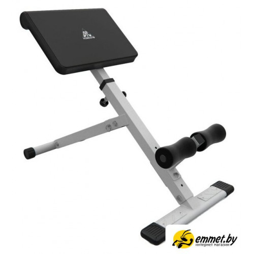 Римский стул DFC Homegym SJ1006 (белый)