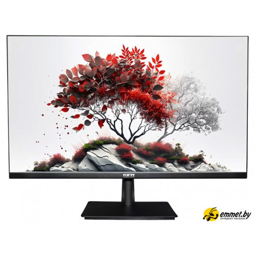 Монитор RDW Computers 2701K/F00B0120V2A1
