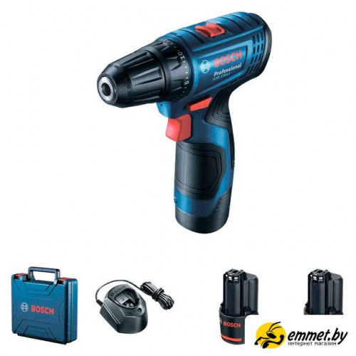 Дрель-шуруповерт Bosch GSR 120-LI Professional 06019G8080 (с 2-мя АКБ, кейс, китайская вилка)
