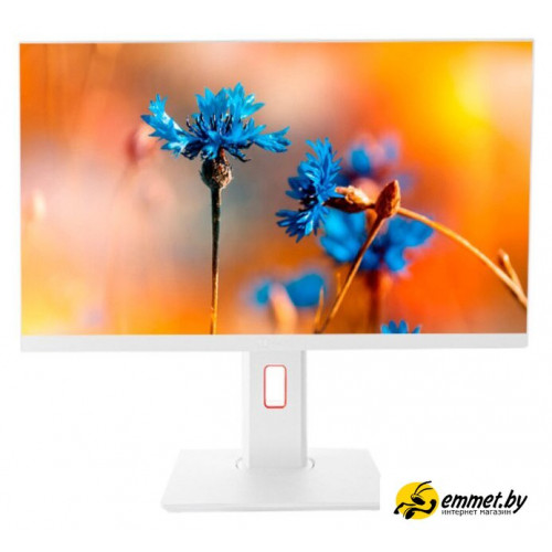 Моноблок ТЕСЛА P24WP 2416500