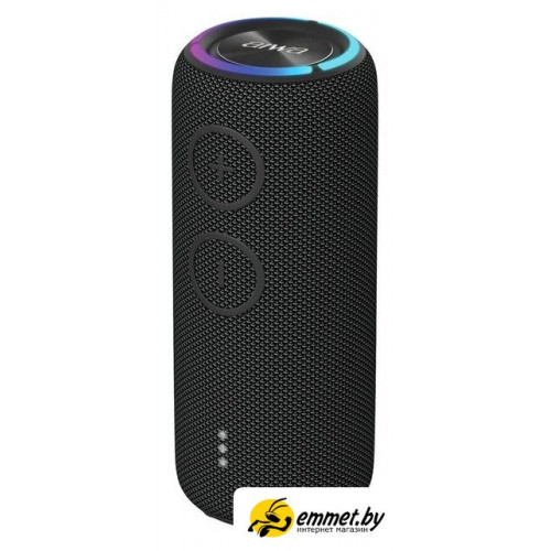 Беспроводная колонка Aiwa PAS-H300 (черный)