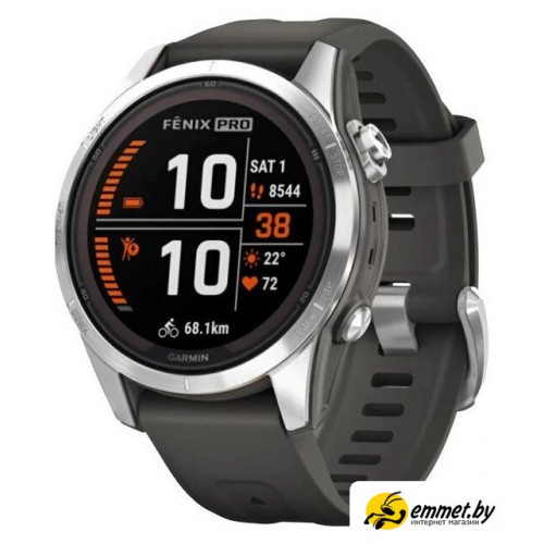 Умные часы Garmin Fenix 7S Pro Solar (серебро/графит)