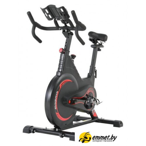 Велотренажер Sundays Fitness ES-7022