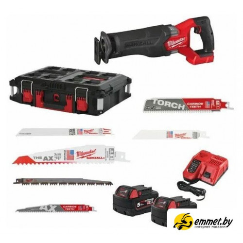 Сабельная пила Milwaukee M18 FSZ100P 4933498242 (с 2-мя АКБ, кейс)