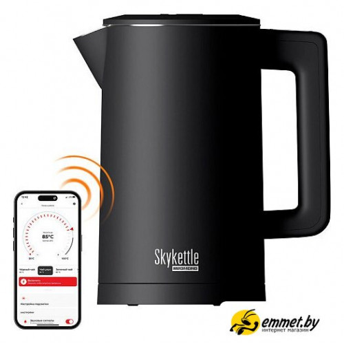 Электрический чайник Redmond (Редмонд) SkyKettle KM231S (черный)