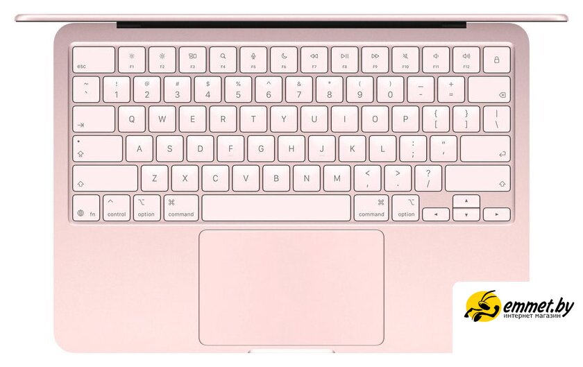 Процессор и графика Apple MacBook Neo 13